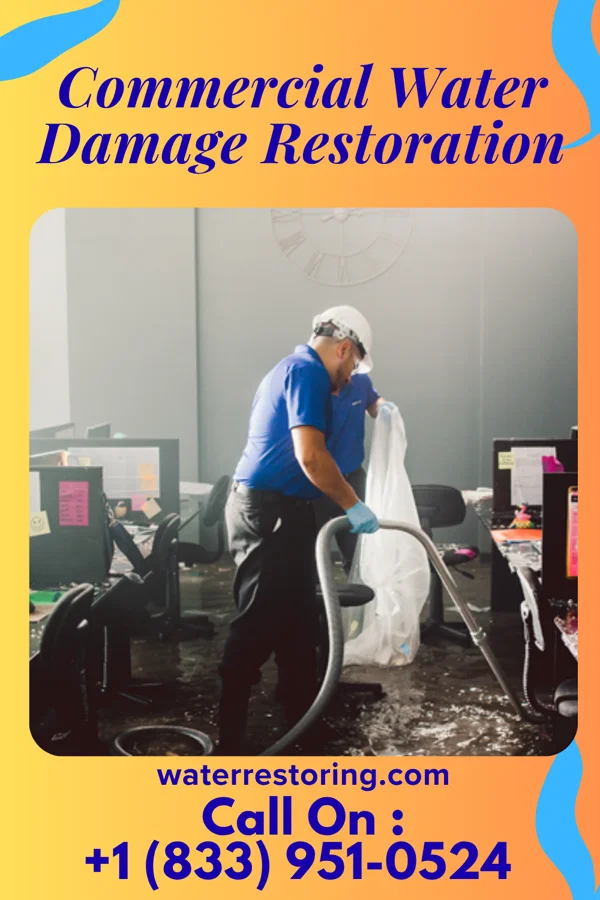 Commercial Water Damage Restoration in Rayle, GA