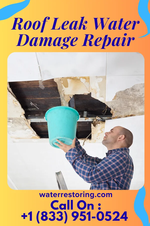 Roof Leak Water Damage Repair in Rayle, GA