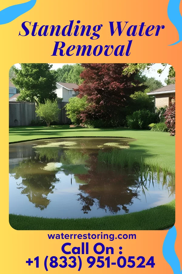 Standing Water Removal in Rayle, GA